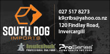 South Dog Imports